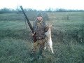 Охота на зайца 10.12.2017 Заяц из-под ног Hare hunting
