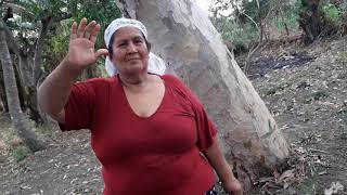 Video thumbnail of "Josue 1:9 Cumbia Alegre - Hermana Sabina de El Salvador  (Nuevo Video)"