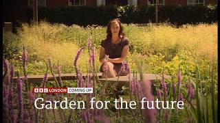 Grosvenor Square to reopen after £25m revamp turns it into 'climate-resilient urban garden' (UK)