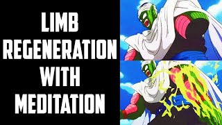 Limb Regeneration With Just The Spiritual Energy From Meditation  Sufi Meditation Center