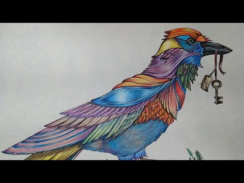 colorindo-passaro-com-super-soft-da-faber-castell