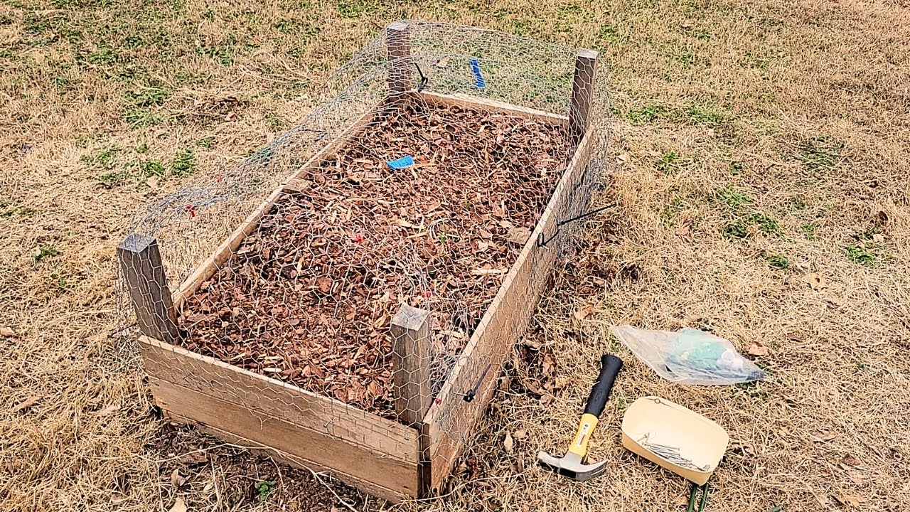 Experiment! Using Chicken Wire to Protect My Garlic Shoots