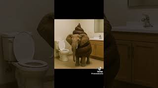Bosto elefante