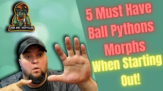 5 Ball Pythons Morphs You Should be Breeding!