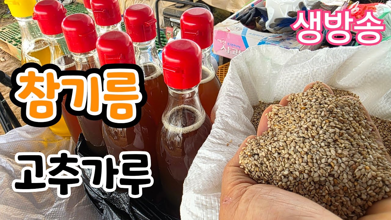 참기름 참깨고추가루대서마늘 생방송 Youtube 