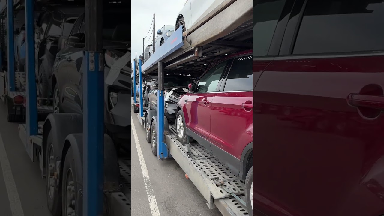 Какие автомобили сейчас заказывают белорусы? СВХ Колядичи, Минск. 