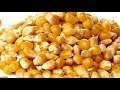 🐓🐔 Poultry Feed Ingredients rates we use in Poultry Farming of Indian Market. 🐓🐔 Poultry Feed Ingredients rates we use in Poultry Farming of Indian Market.