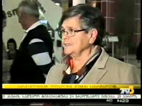 გლობალური კომისიის წევრების დახვედრა აეროპორტში-ტვ3