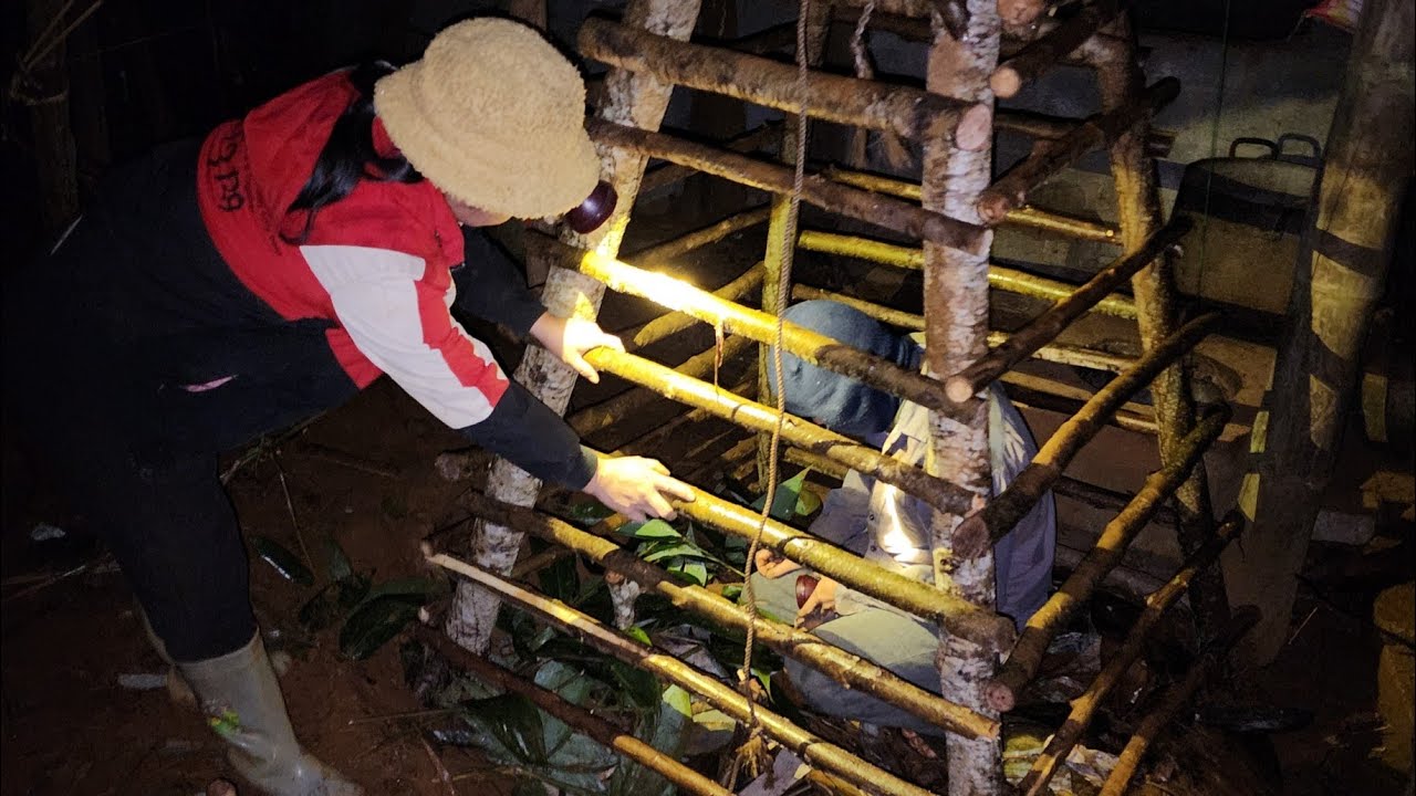 A single mother catches a thief using a homemade cage trap; how should you handle this?