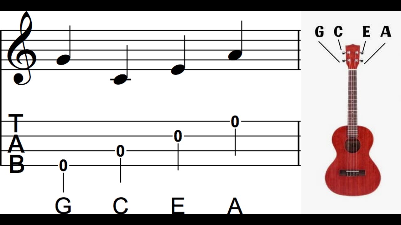 Learn the ukulele string note names YouTube