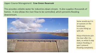 River Tees Management