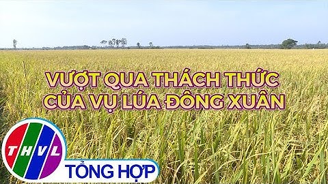 Nông nghiệp bền vững: Vượt qua thách thức của vụ lúa Đông Xuân
