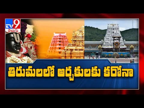 శ్రీవారి అర్చకుల్లో కరోనా భయం... నేడు టీటీడీ చైర్మన్‌ ఆధ్వర్యంలో సమావేశం - TV9