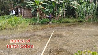 achamos um lago infestado de COBRA nunca tive tanto medo