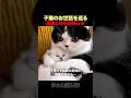 子猫をお世話しようとした時の母猫の反応ｗｗのサムネイル