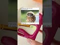 #Shorts #YouTubeShorts #Viral #Storytelling #Stories #Relaxation #Relaxing #stressreliefforpets