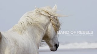 Band of Rebels: White Horses of Camargue