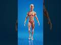 Your Muscles Go into Battery Saver After Leg Day 💪 #shorts #shortvideo #animation #humanbody #facts