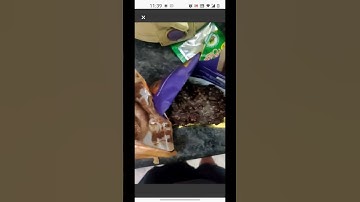 Blinkit reviews: Received damaged items | PissedConsumer.com