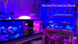 Kevin's Filtration Room - Three Reef Tanks One Skimmer- 10 gallon saltwater fish tank setup