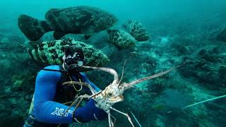 Can You Catch a Monster Grouper Underwater with a Hand Line?