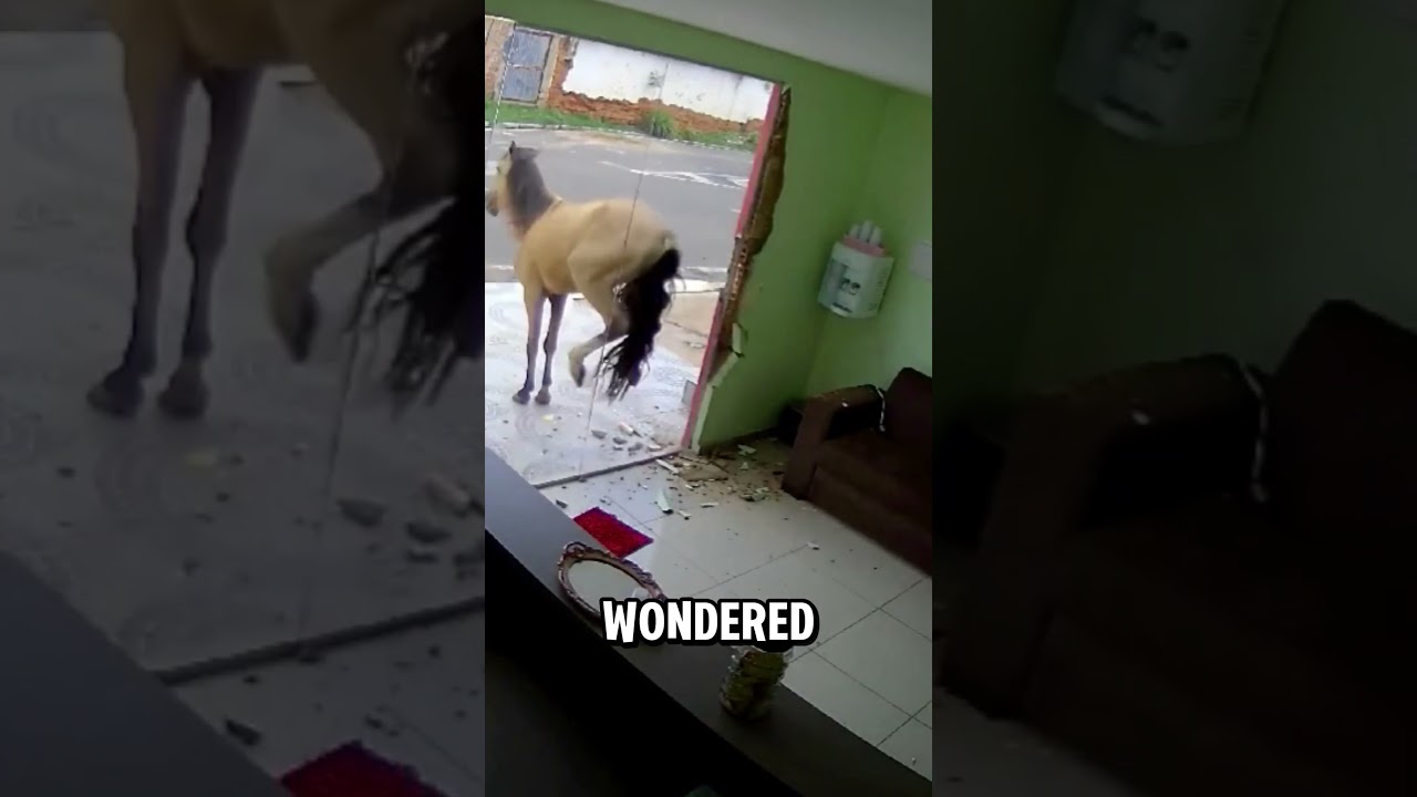 Why Doesn’t Glass Break When a Horse Kicks It? 