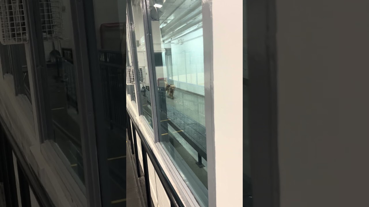 Advanced Emergency response