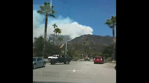 Wild fire