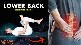 Beginner Yoga for Lower Back Pain | Release Tension Fast