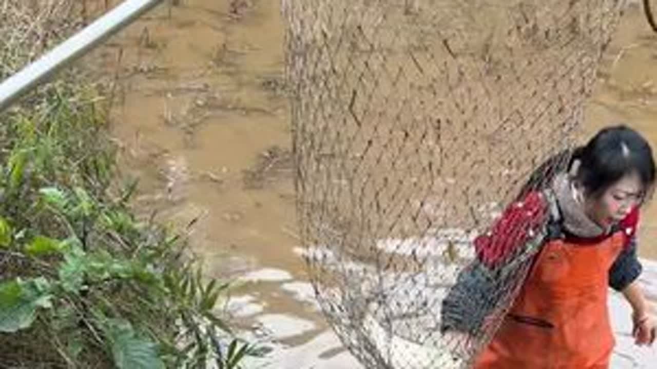 团年饭的鱼，必须自己抓才香！回娘家捉鱼啦，亲自上阵，收获满满，娃儿们开心到飞起，这才是小时候最正宗的年味！#我的乡村生活 #抖音商城