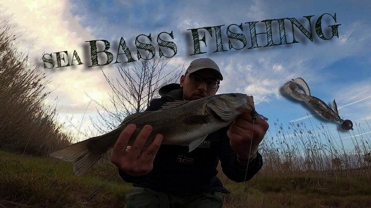 BASS FISHING IN LAGUNA? | Light Spinning in Laguna