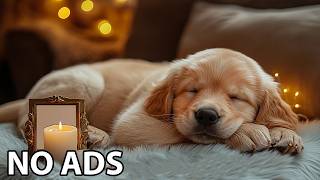 12 Hours Deep Sleep Music for Dogs 🐶 Relaxing Music for Dog –Dog Gentle Soundscape For Calm Behavior screenshot 2