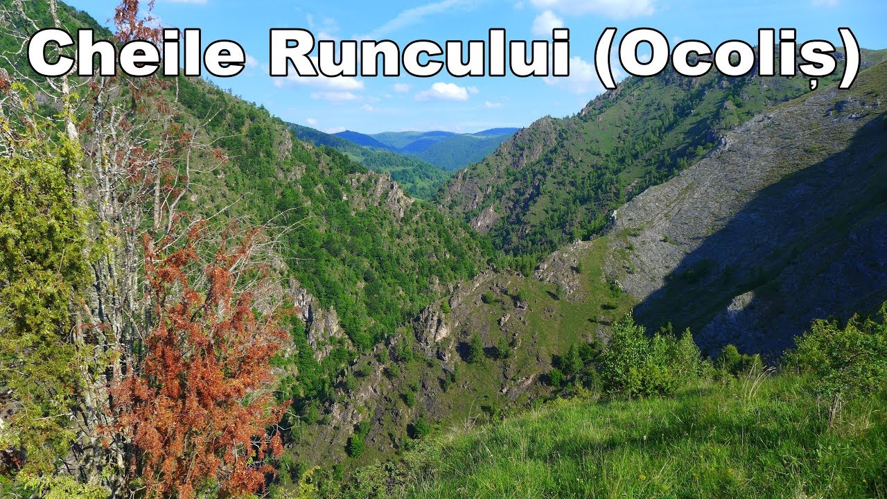 Cheile Runcului - YouTube
