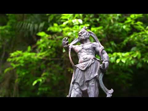 Memories that last a lifetime - nature trails 002 lnd - No description has been added to this video.
