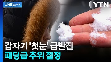 [자막뉴스] 체감 