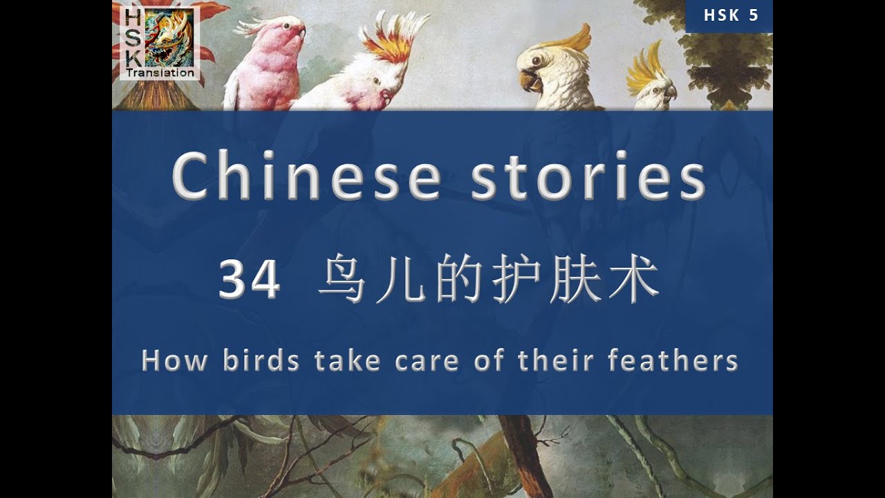 “How birds take care of their feathers” Chinese language stories. HSK 5 Lesson 34 Standard Course