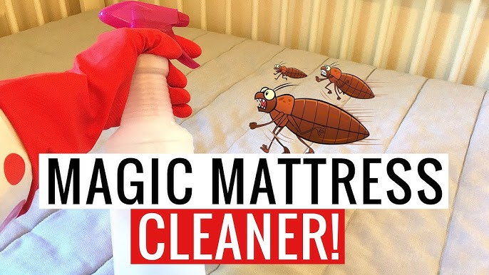 DIY Miracle Mattress Stain Remover