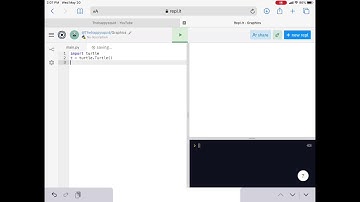 Python Turtle Graphics-Goto