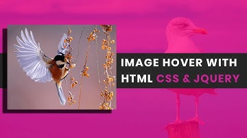 Image Hover Effect with html css and jquery | How to create image hover effect