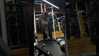 Consistency over Anything #pullups #consistency #gym #motivation