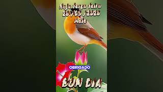#Bom dia amém senhor