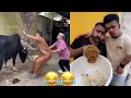 Honey bee attack on abduuu21 and allawi  tiktok funnys  try not to laugh abduuu21 