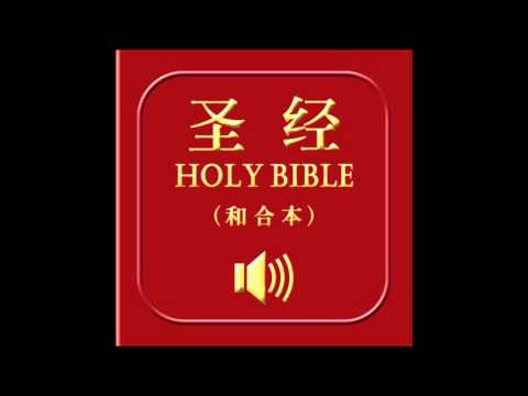 和合本圣经 • 申命记 | Chinese Union Version Bible • Deuteronomy