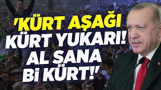 Erdoğan Kürt Aşağı Kürt Yukarı Al Sana Bi Kürt Seçil Özer Krt Ana Haber