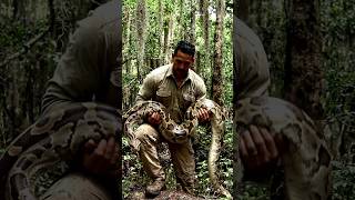 He caught a huge snake with his hand. #shorts