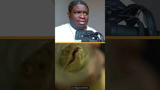 The Den Lancehead Worth How Much ?