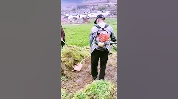 The process of clearing weeds - good machinery can improve the efficiency of doing things