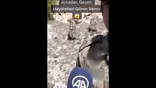 Üç Harfliler 🇹🇷🦅🐺 #shorts #tiktok #short #jandarma #instagram #reels #jak #bordobereliler #short