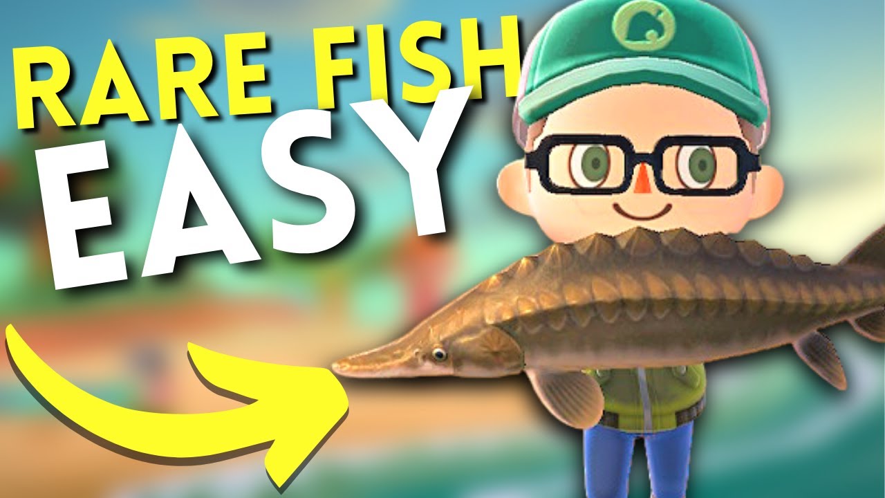 How To Catch RARE FISH EASY in Animal Crossing New Horizons 2.0