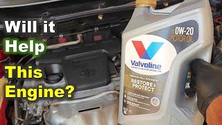 Will RESTORE and PROTECT Help this Engine?